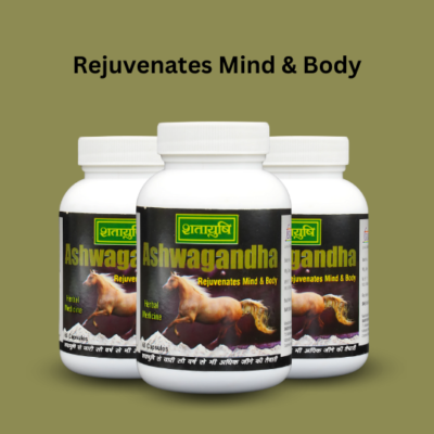 Ashwagandha Capsules - Image 2