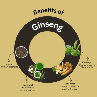Ginseng Capsules - Image 3
