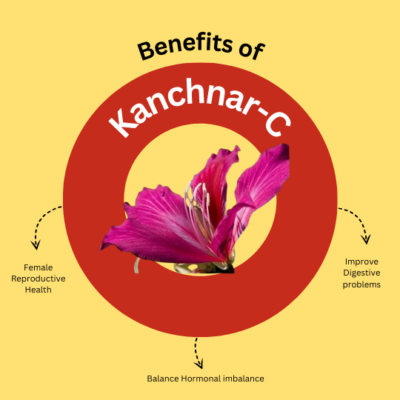 Shatayushi Kanchanar-C – Herbal Wellness for Thyroid & Hormonal Balance - Image 3