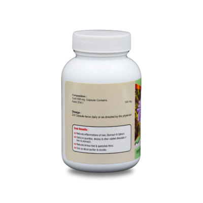 Shatayushi Kasni Capsules – Herbal Support for Kidney & Liver Health - Image 3