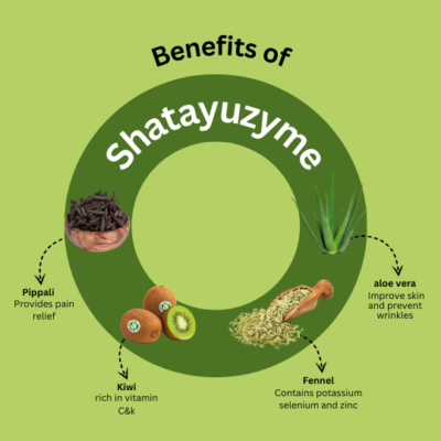 Shatayuzyme Capsules - Image 3