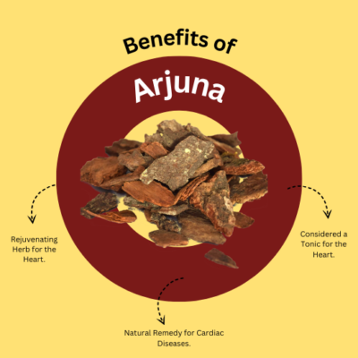 Shatayushi Arjuna Herbal Capsules - Image 3