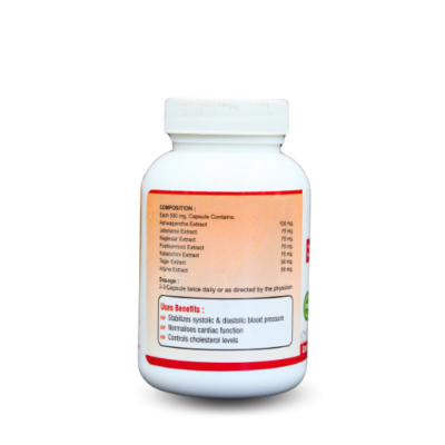 BP-80/120 Capsules - Image 4