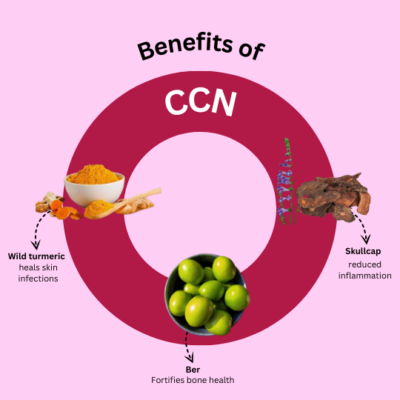 CCN  Capsules - Image 3