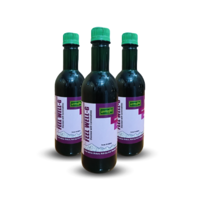 Feel Well - G Syrups