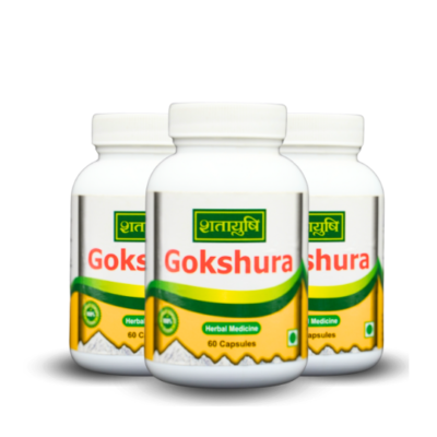 Gokshura Herbal Capsules - Natural Wellness Supplement