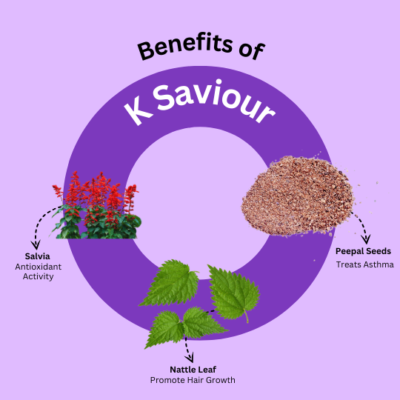 Kidney Saviour Capsules - Image 3