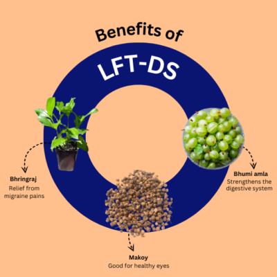 LFT-DS: A Perfect Hepatoprotective Herbal Solution - Image 3