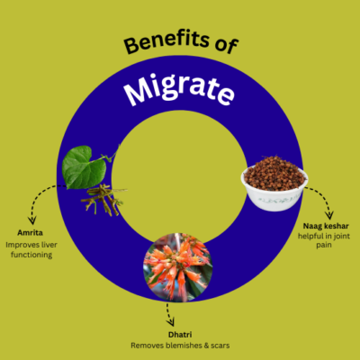 Migrate Syrup - Image 3