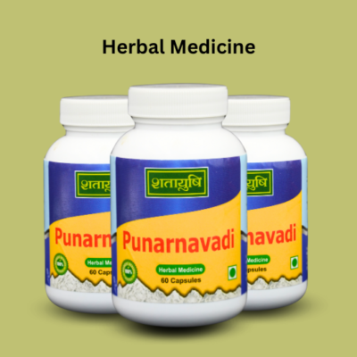 Punarnavadi Capsules - Image 2