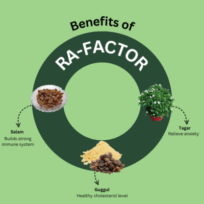 RA-Factor Syrups - Image 3