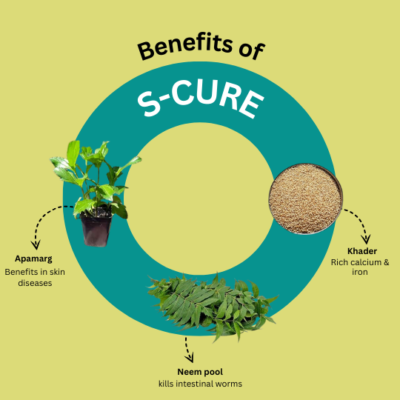 S-Cure Syrups - Image 3