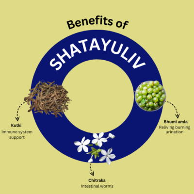 Shatayuliv Syrups - Image 3