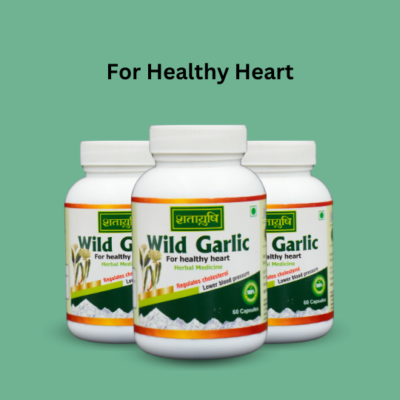 Wild Garlic Capsules - Image 2